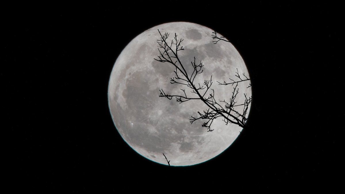 La Lune. // Source : Unsplash/David Dibert (photo recadrée) La Lune. // Source : Unsplash/David Dibert (photo recadrée)