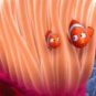 Source : Le Monde de Nemo Source : Le Monde de Nemo
