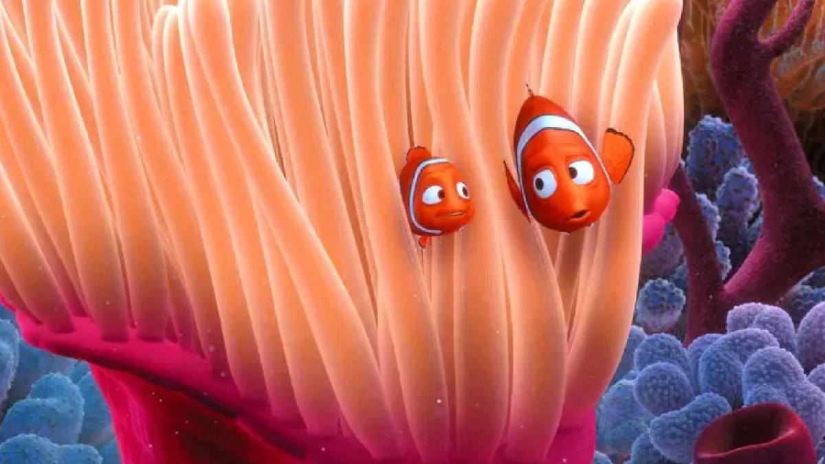 Source : Le Monde de Nemo Source : Le Monde de Nemo