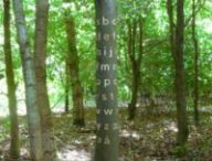 Un arbre a dessinée les lettres d'une police d'écriture // Source : Bjørn Karmann Un arbre a dessinée les lettres d'une police d'écriture // Source : Bjørn Karmann
