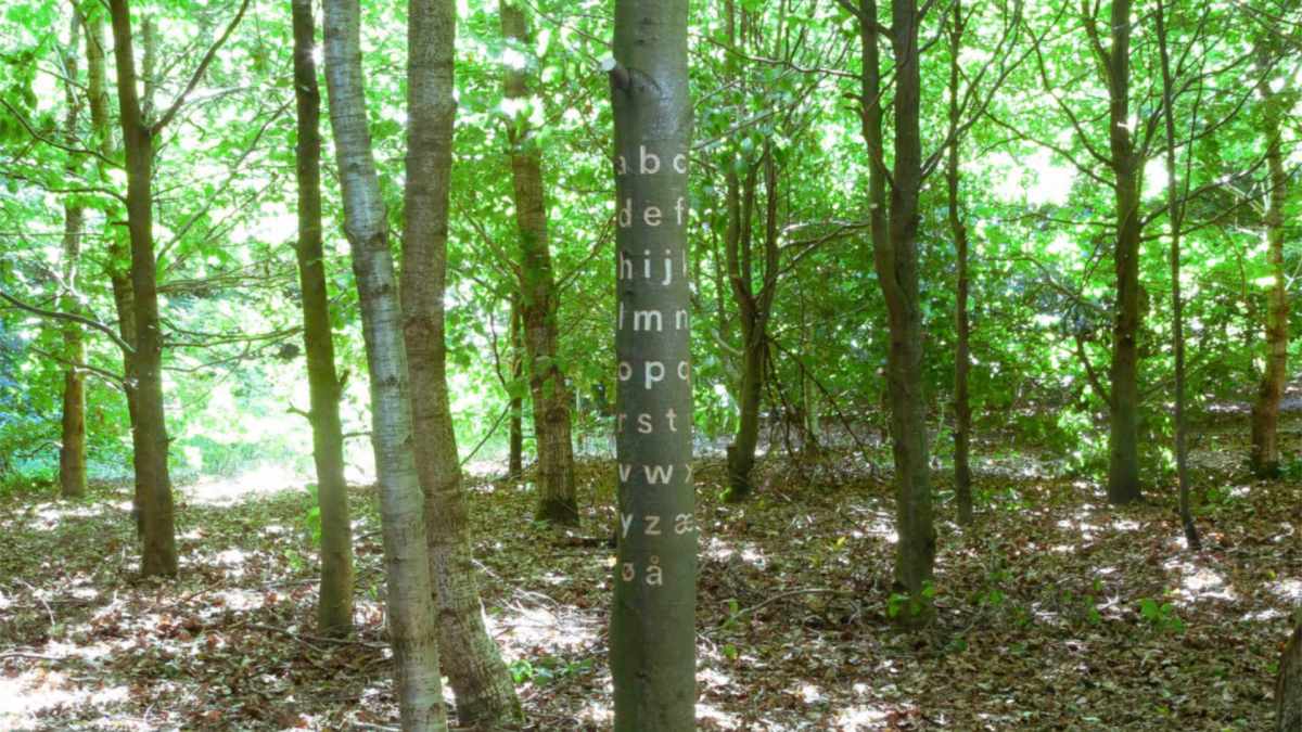 Un arbre a dessinée les lettres d'une police d'écriture // Source : Bjørn Karmann Un arbre a dessinée les lettres d'une police d'écriture // Source : Bjørn Karmann