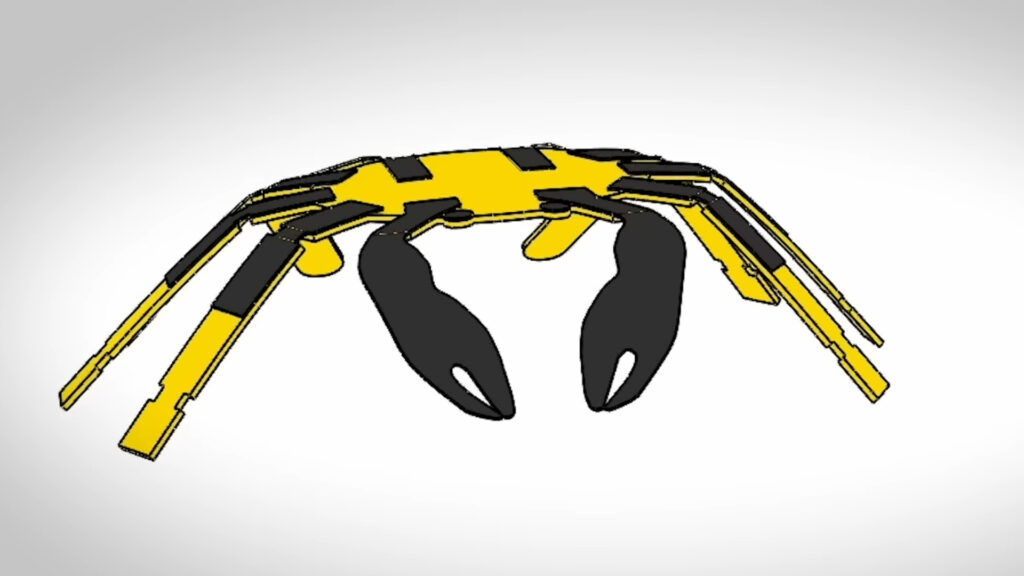 Le petit crabe robotique // Source : NorthwesternU Le petit crabe robotique // Source : NorthwesternU