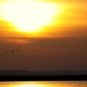 Soleil et canicule // Source : Pixabay Soleil et canicule // Source : Pixabay