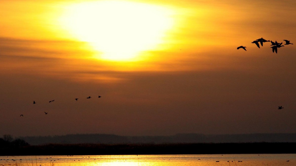 Soleil et canicule // Source : Pixabay Soleil et canicule // Source : Pixabay