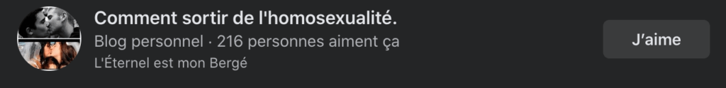 Les pages promouvant les thérapies de conversion sont également présentes // Source : Capture d'écran Numerama Les pages promouvant les thérapies de conversion sont également présentes // Source : Capture d'écran Numerama
