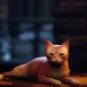 Stray // Source : Annapurna Interactive Stray // Source : Annapurna Interactive