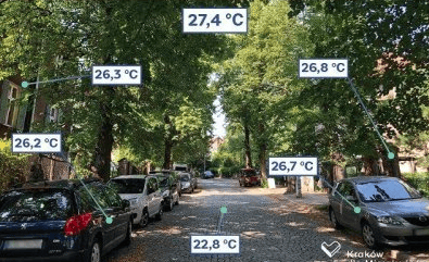 Température sur un sol avec végétation. // Source : Esquerdistlatu sur Twitter