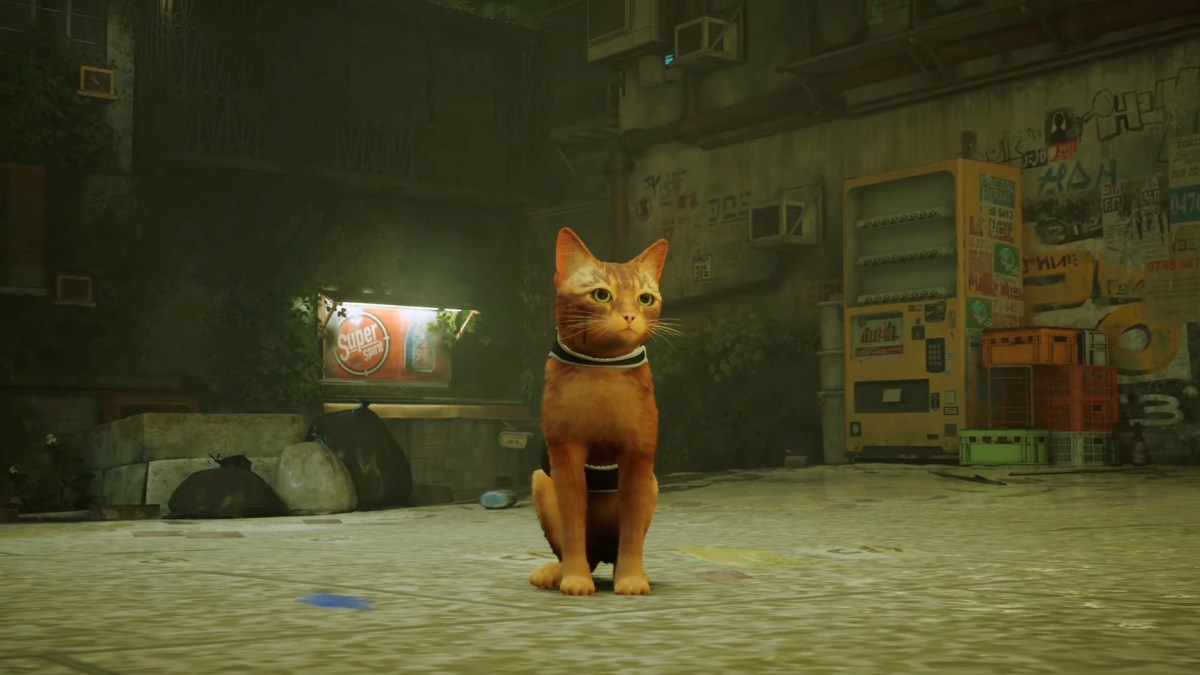 Le chat de Stray // Source : YouTube/PlayStation Le chat de Stray // Source : YouTube/PlayStation
