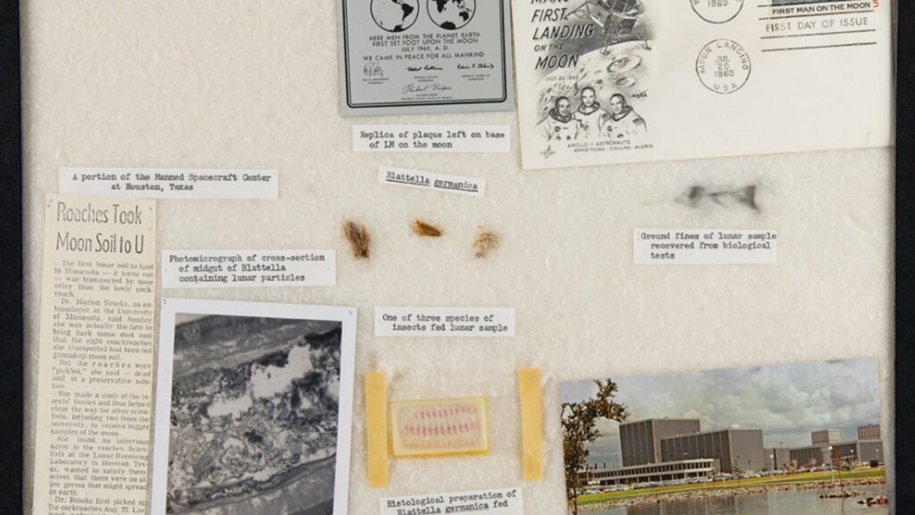 La vente aux enchères comporte plein de docs issus de l'expérience : les cafards, des cahiers, des articles, des photos... // Source : RR Auction La vente aux enchères comporte plein de docs issus de l'expérience : les cafards, des cahiers, des articles, des photos... // Source : RR Auction