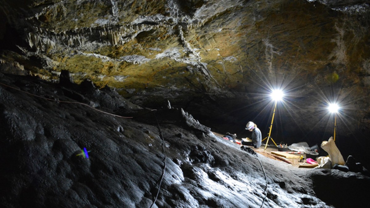 Cueva de Ardales // Source : Ramos-Muñoz et al., CC-BY 4.0 Cueva de Ardales // Source : Ramos-Muñoz et al., CC-BY 4.0