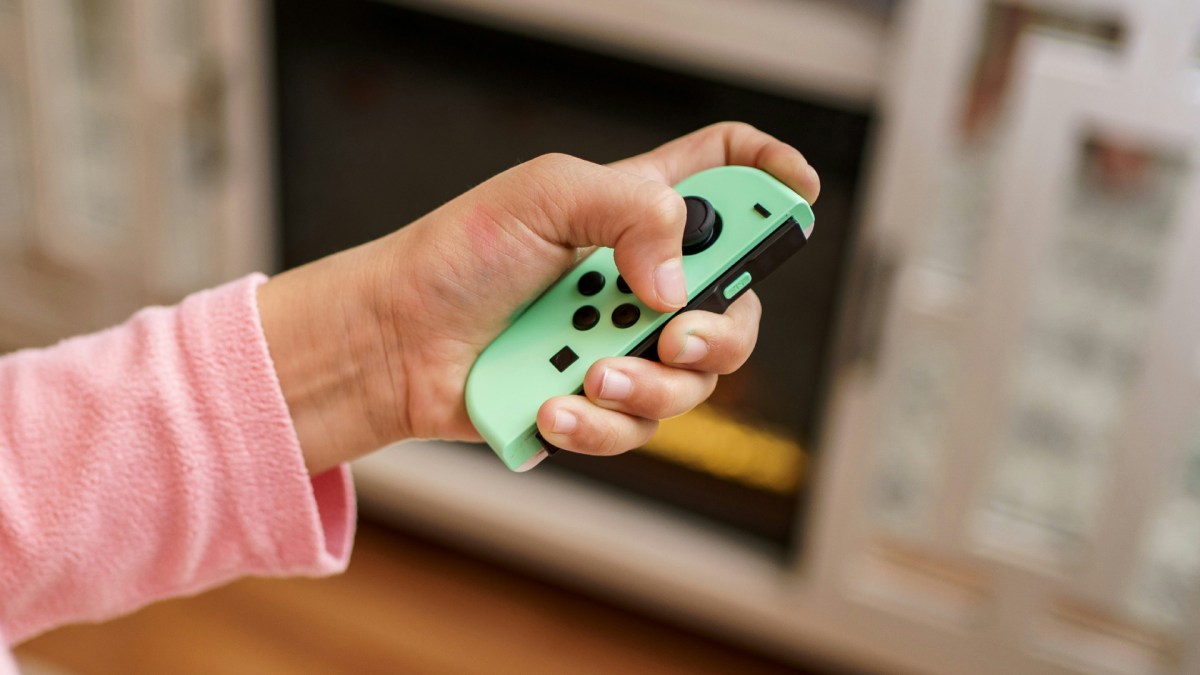 Joy-con PC // Source : NATHAN MULLET