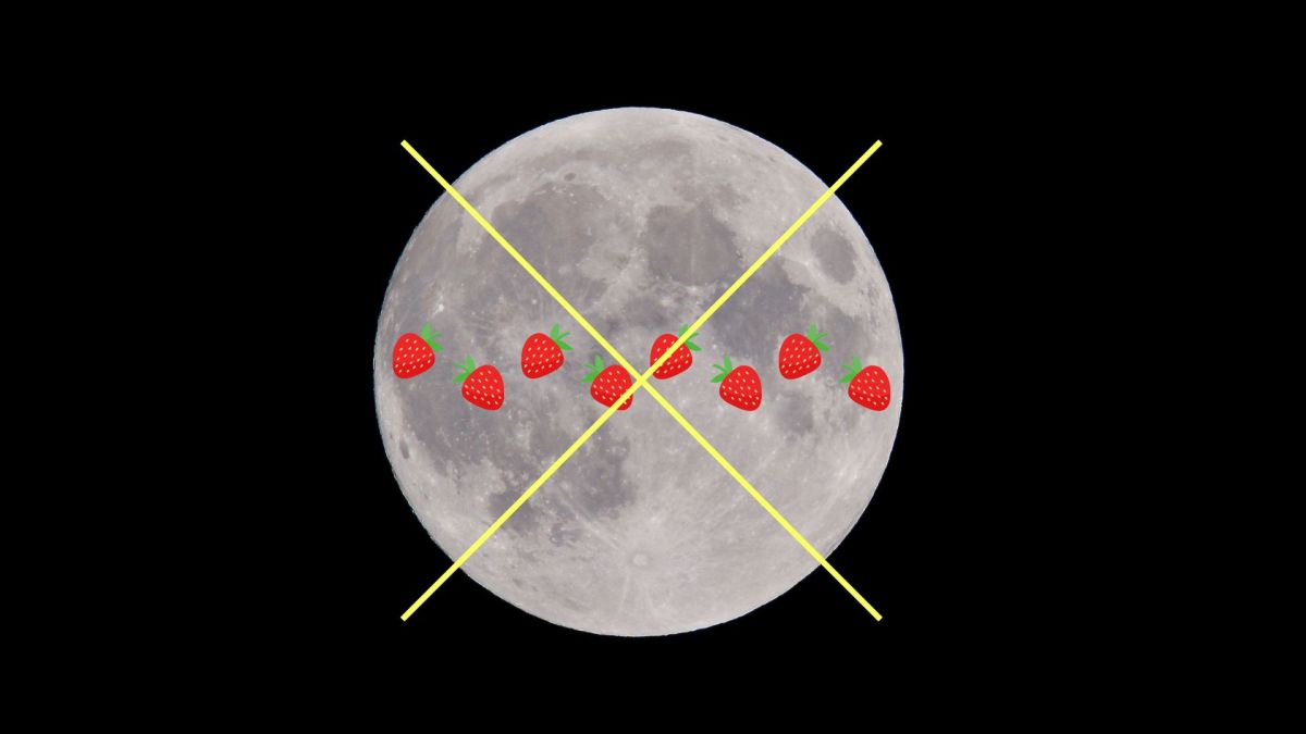 « Lune des fraises » : elle n'existe pas. // Source : Montage Numerama réalisé avec Canva