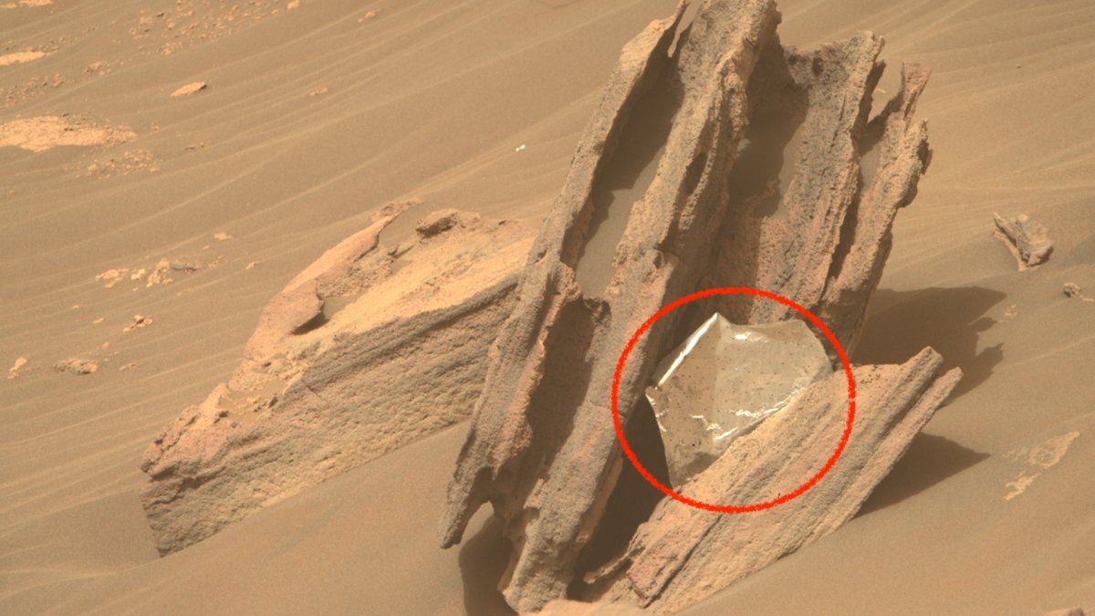 Un objet étrange vu par Perseverance sur Mars. // Source : NASA/JPL-Caltech/ASU, annotation Numerama Un objet étrange vu par Perseverance sur Mars. // Source : NASA/JPL-Caltech/ASU, annotation Numerama