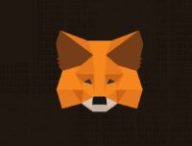 Metamask est un service de portefeuille crypto // Source : Nino Barbey pour Numerama