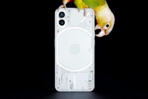 Le dos transparent du Nothing Phone (1). // Source : Nothing Le dos transparent du Nothing Phone (1). // Source : Nothing