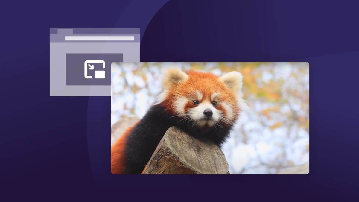 Source : Mozilla Source : Mozilla