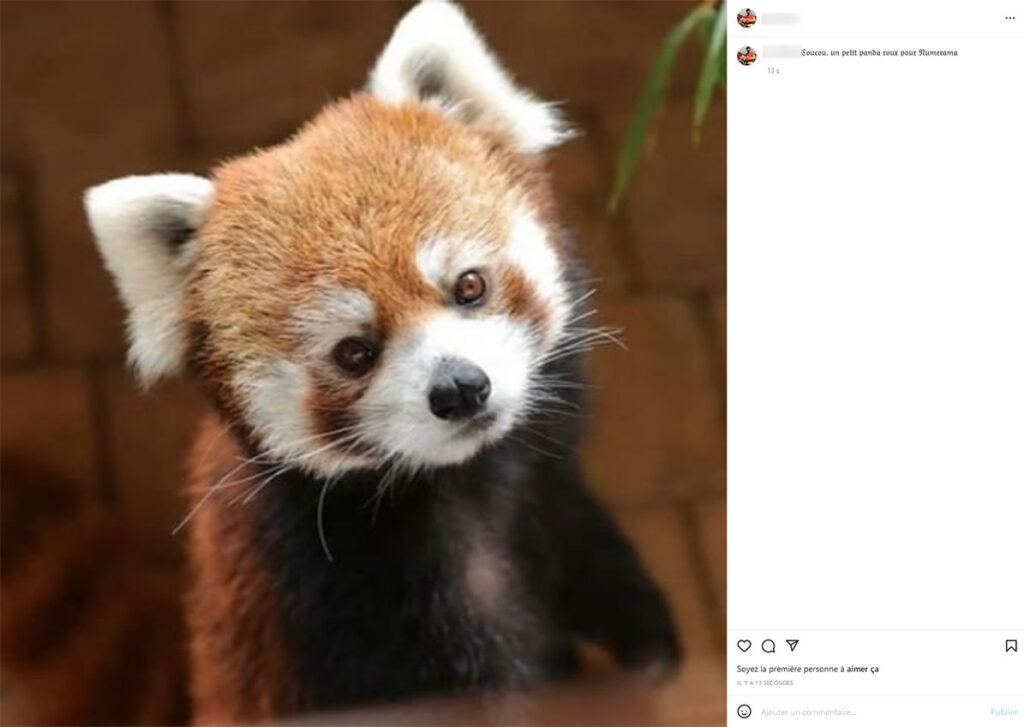 Publication Instagram font résultat Publication Instagram font résultat