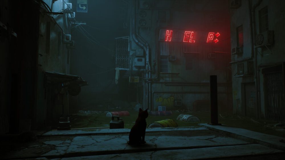 Stray // Source : Annapurna Interactive Stray // Source : Annapurna Interactive