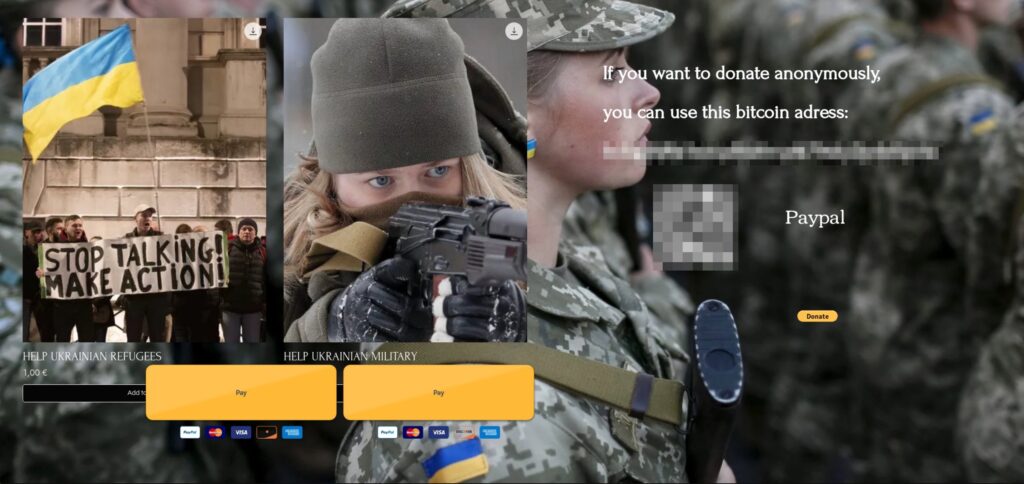 Un exemple de site frauduleux // Source : Capture d'écran