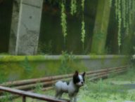 Un chien dans Stray // Source : Nexus Mods Un chien dans Stray // Source : Nexus Mods
