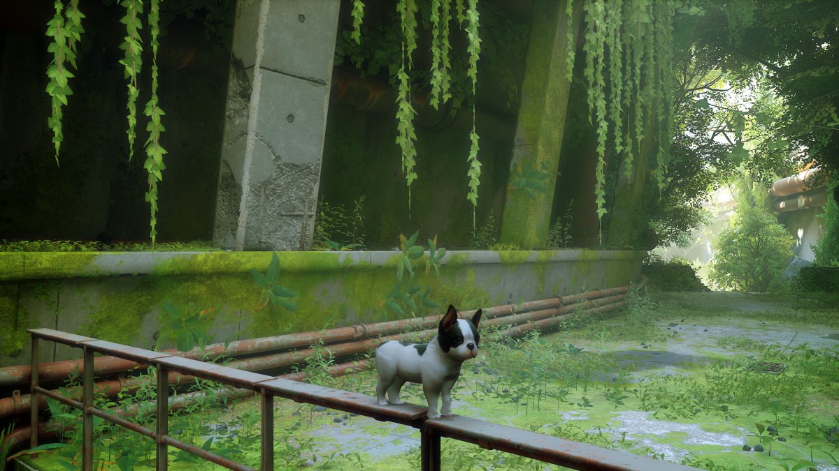 Un chien dans Stray // Source : Nexus Mods Un chien dans Stray // Source : Nexus Mods