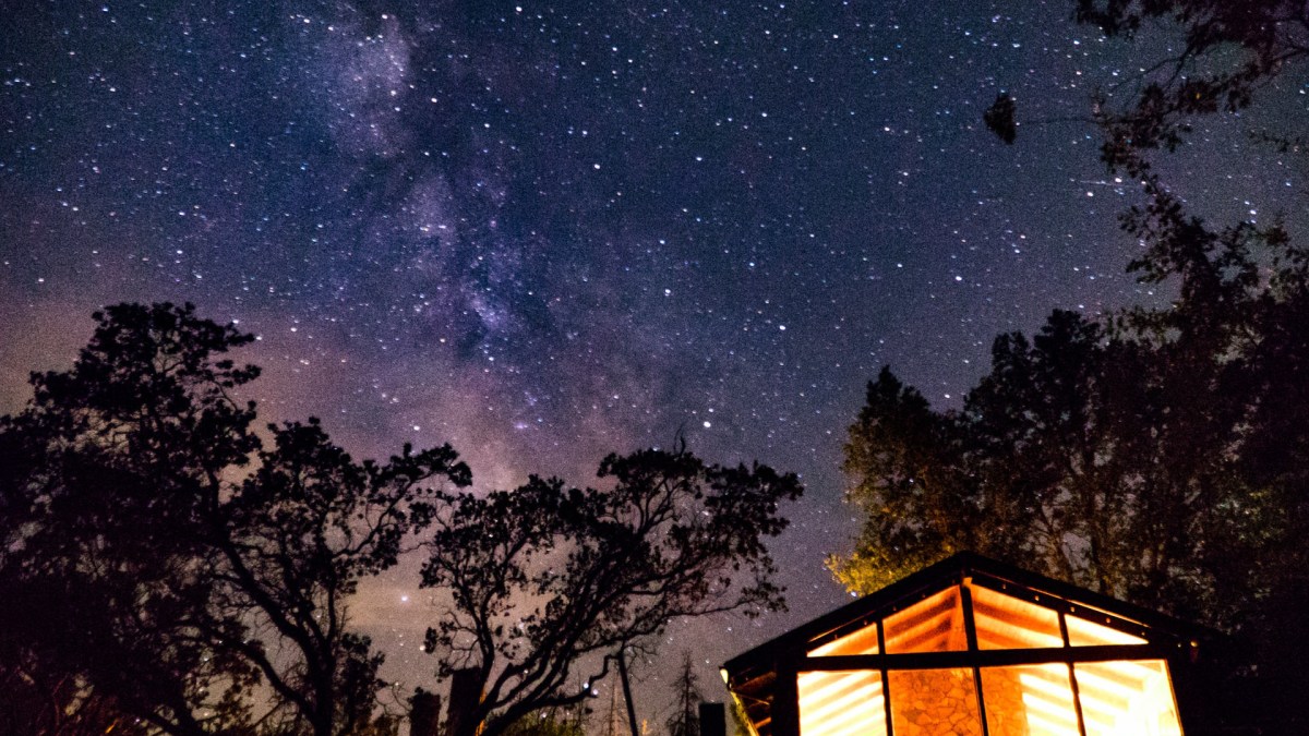 L'été, les étoiles, le bonheur. // Source : Unsplash/Jake Hinds (photo recadrée) L'été, les étoiles, le bonheur. // Source : Unsplash/Jake Hinds (photo recadrée)
