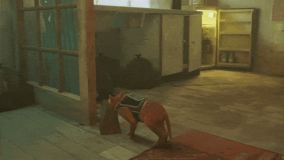 Stray-GIF_sac