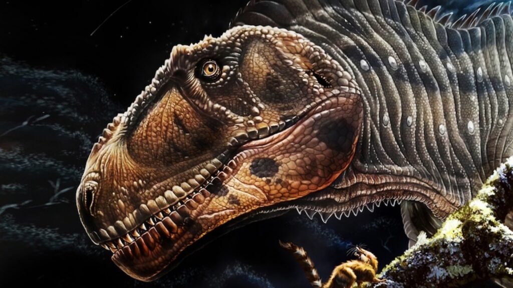 Représentation du dinosaure carnivore baptisé Meraxes gigas. // Source : Peter Makovicky Représentation du dinosaure carnivore baptisé Meraxes gigas. // Source : Peter Makovicky