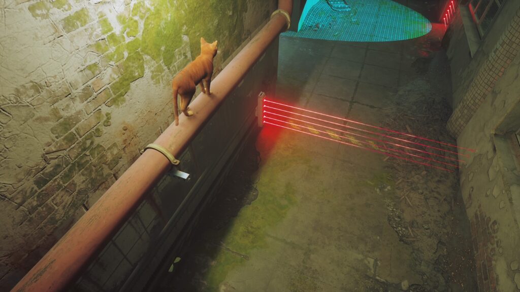 Stray // Source : Capture PS5 Stray // Source : Capture PS5