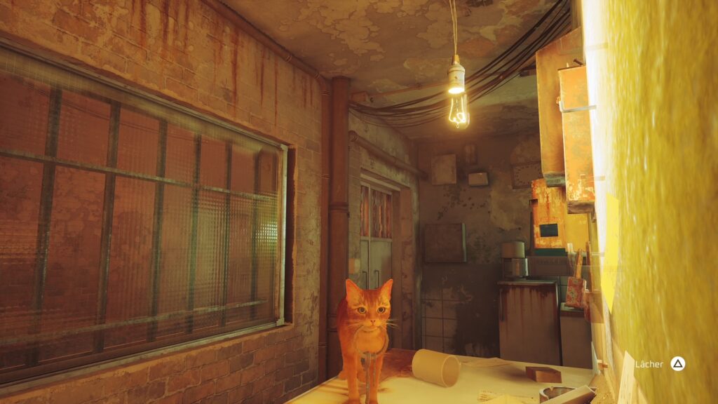 Stray // Source : Capture PS5 Stray // Source : Capture PS5