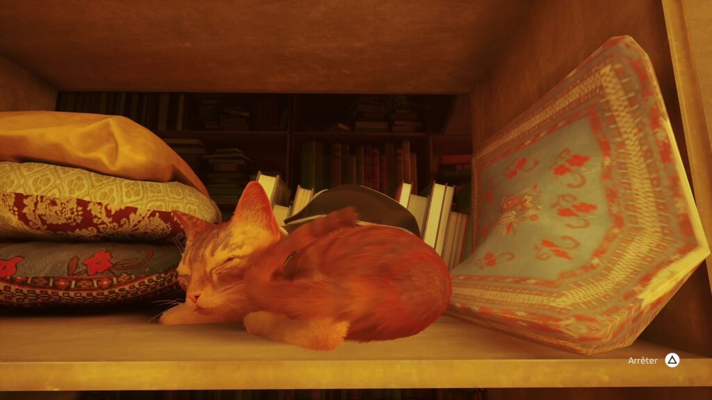 Stray // Source : Capture PS5