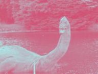 monstre du loch ness // Source : wikimédias