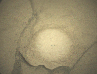 Le L dessiné sur Mars. // Source : NASA/JPL-Caltech/LANL/CNES/IRAP // Animation Numerama