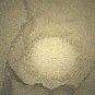 Le L dessiné sur Mars. // Source : NASA/JPL-Caltech/LANL/CNES/IRAP // Animation Numerama Le L dessiné sur Mars. // Source : NASA/JPL-Caltech/LANL/CNES/IRAP // Animation Numerama