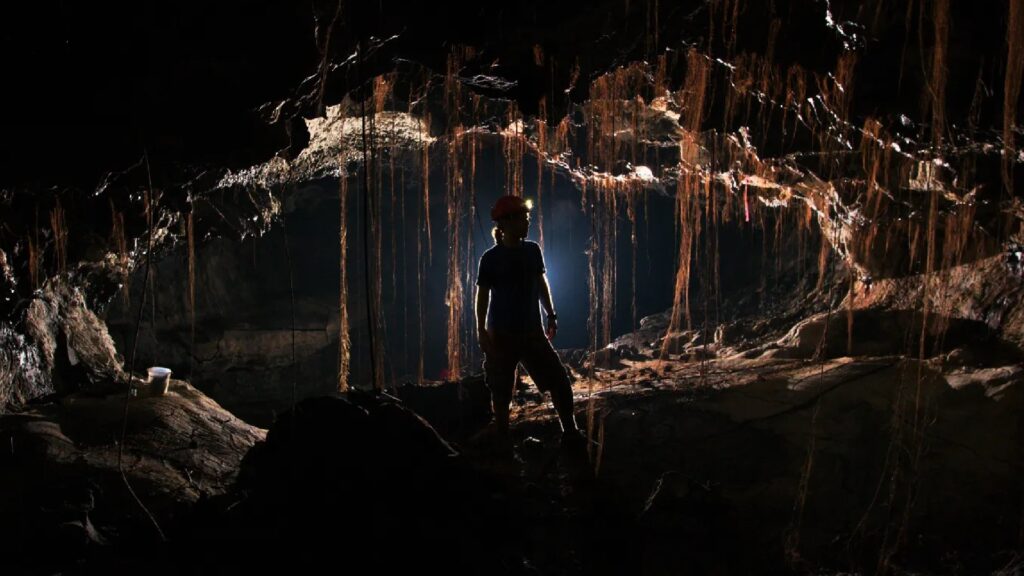 Le chercheur Steve Smith, dans l'une des caves où ont eu lieu les prélèvements. // Source : Kenneth Ingham Le chercheur Steve Smith, dans l'une des caves où ont eu lieu les prélèvements. // Source : Kenneth Ingham