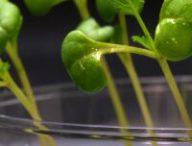Source : Nature Food Source : Nature Food