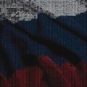 La Russie // Source : Canva La Russie // Source : Canva