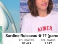 sardine ruisseau socialblade