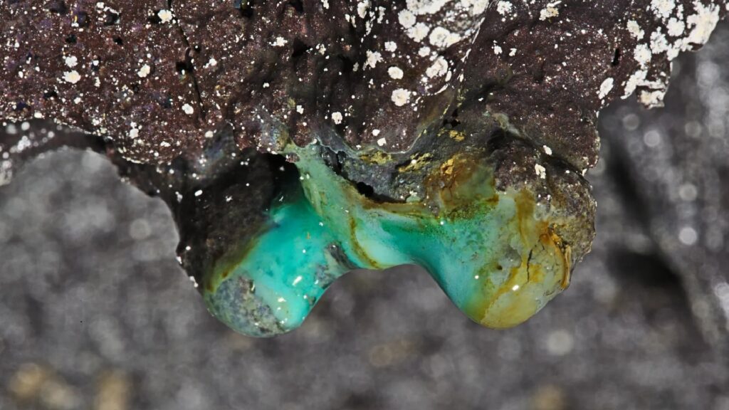 Une formation stalactite dans une cave volcanique à HawaÏ. C'est un environnement toxique pour la plupart des espèces, mais une colonie de bactéries y a été découverte dans cette étude. // Source : Kenneth Ingham Une formation stalactite dans une cave volcanique à HawaÏ. C'est un environnement toxique pour la plupart des espèces, mais une colonie de bactéries y a été découverte dans cette étude. // Source : Kenneth Ingham