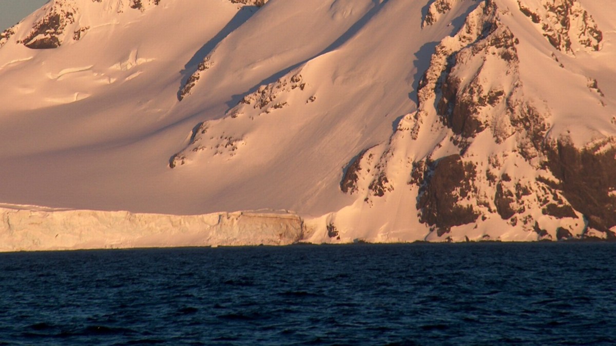 Antarctique, océan austral. // Source : Lyubomir Ivanov/Wikimédias/recadré Antarctique, océan austral. // Source : Lyubomir Ivanov/Wikimédias/recadré