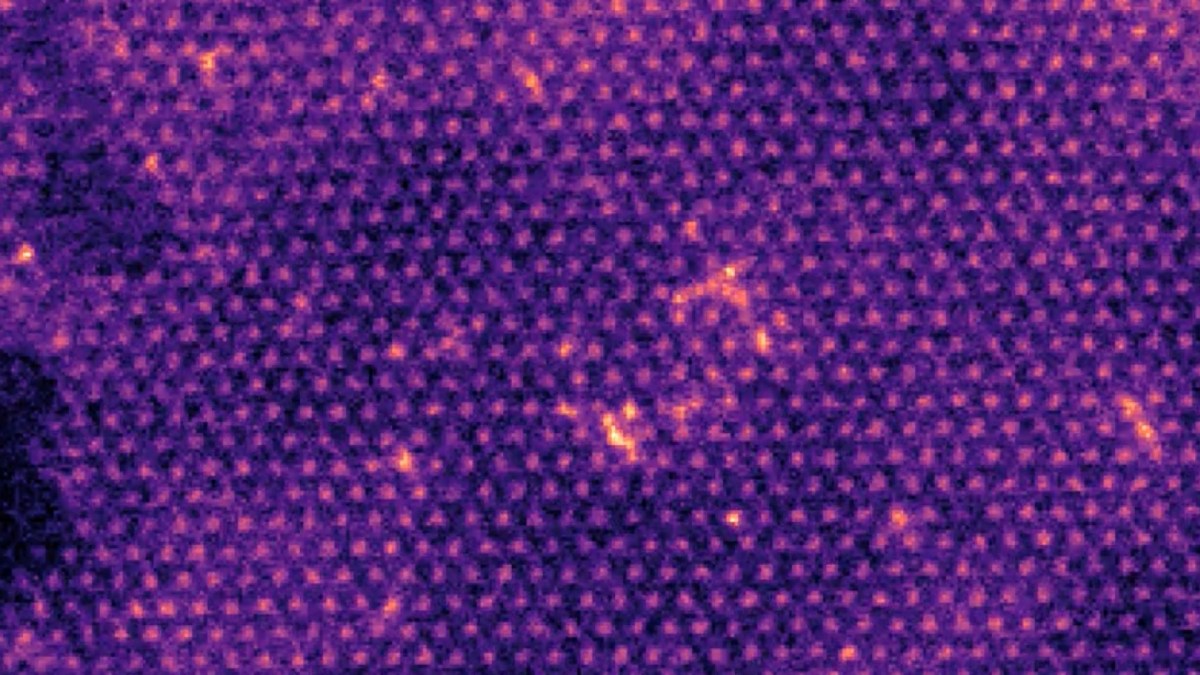 Des atomes dans du liquide. // Source : Université de Manchester Des atomes dans du liquide. // Source : Université de Manchester