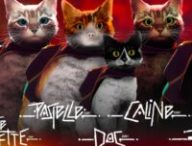 La SPA s'infiltre dans Stray // Source : SPA