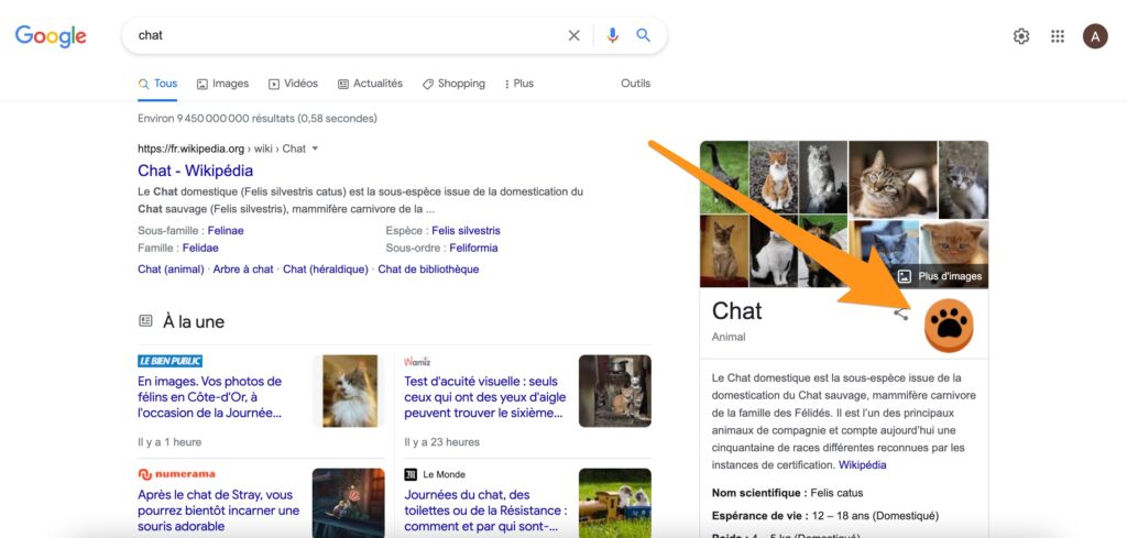 Le doodle chat de Google // Source : Capture d'écran Numerama Le doodle chat de Google // Source : Capture d'écran Numerama