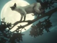 Un rêve de mille chats, épisode bonus de Sandman // Source : Netflix
