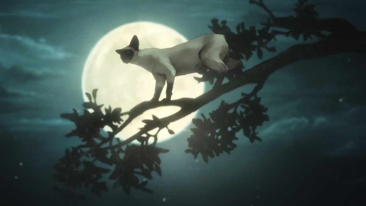 Un rêve de mille chats, épisode bonus de Sandman // Source : Netflix Un rêve de mille chats, épisode bonus de Sandman // Source : Netflix