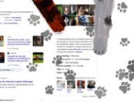 Le doodle chat de Google // Source : Capture Numerama