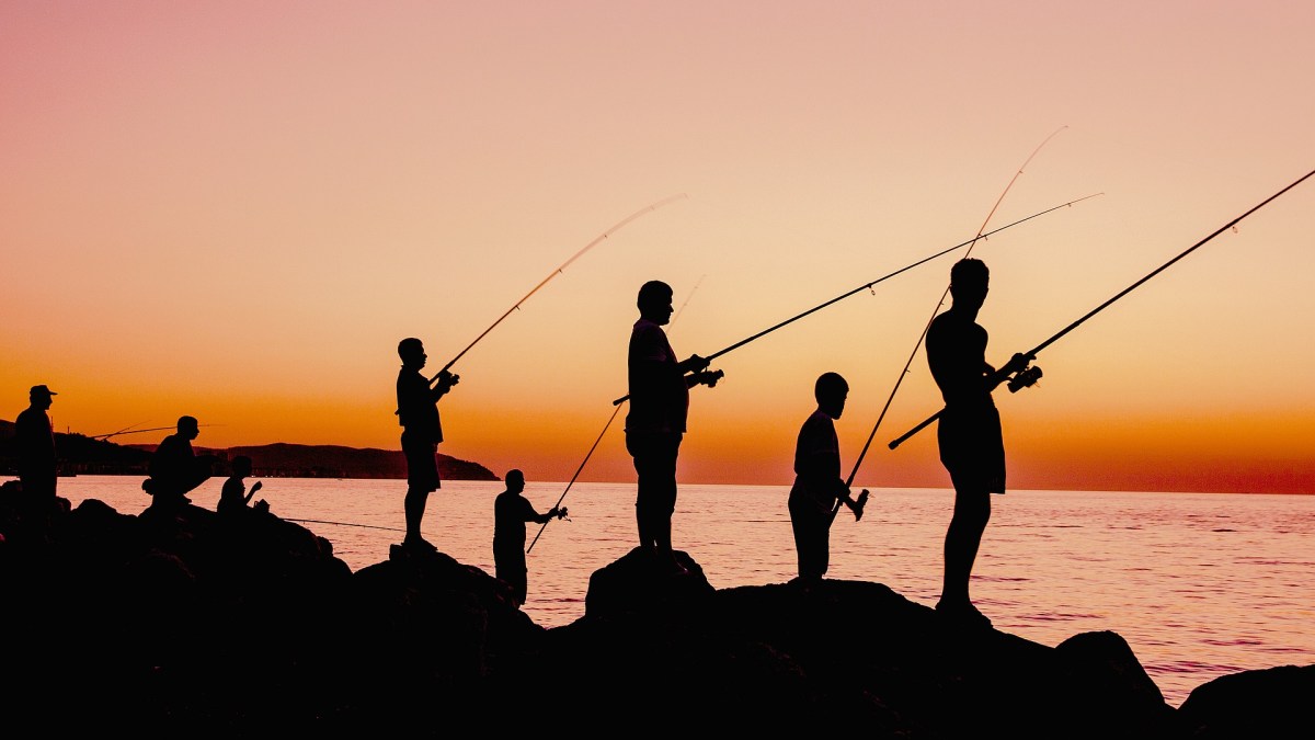 Les auteurs de campagnes de phishing lancent leurs faux messages comme autant de canne à pêcher des informations qui ne leurs sont pas destinées. // Source : Pixabay/Fikret Kabay Les auteurs de campagnes de phishing lancent leurs faux messages comme autant de canne à pêcher des informations qui ne leurs sont pas destinées. // Source : Pixabay/Fikret Kabay