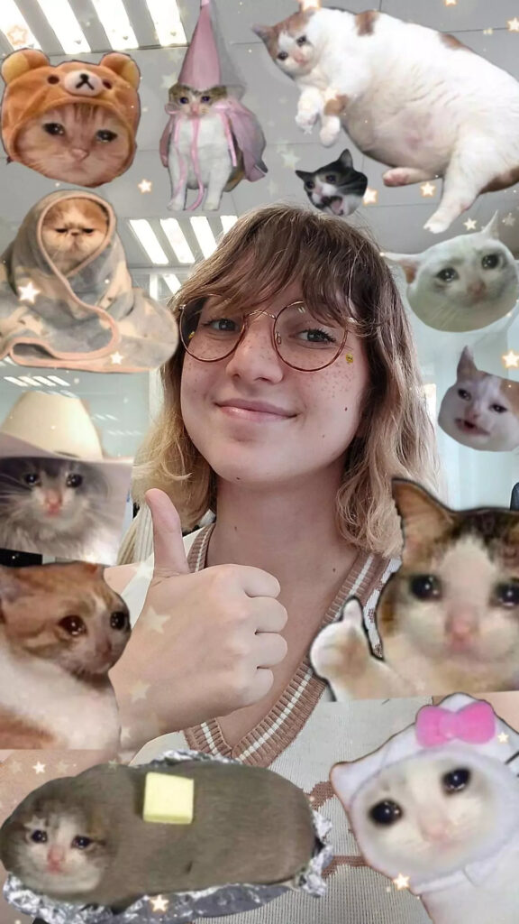 Quoi de mieux que des memes de chats tristes pour exprimer vos émotions. // Source : Nino Barbey pour Numerama Quoi de mieux que des memes de chats tristes pour exprimer vos émotions. // Source : Nino Barbey pour Numerama