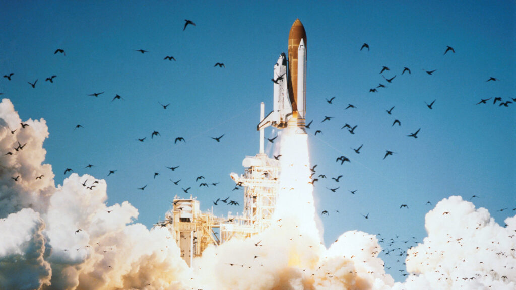 Décollage de la navette Challenger. L'accident est survenu 73 secondes après le lancement. // Source : Flickr/CC/Nasa Johnson (photo recadrée) Décollage de la navette Challenger. L'accident est survenu 73 secondes après le lancement. // Source : Flickr/CC/Nasa Johnson (photo recadrée)