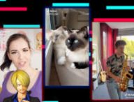 Extraits de notre sélection de TikTok de septembre 2022 // Source : Numerama